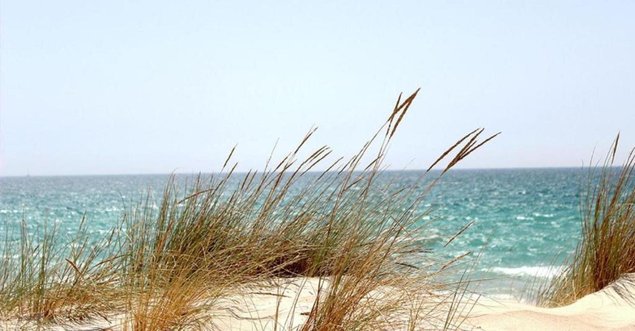 Mhvacances Louent Plusieurs Mobilhomes Dans Camping 4 Etoiles A 200M De La Plage Et Cure Thermale Canet Exterior foto